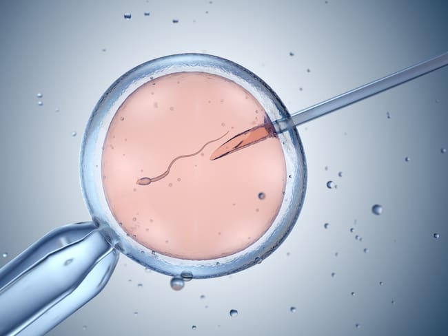 Clínicas de fertilidad de Alabama, en vilo por la decisión de considerar a embriones niños
