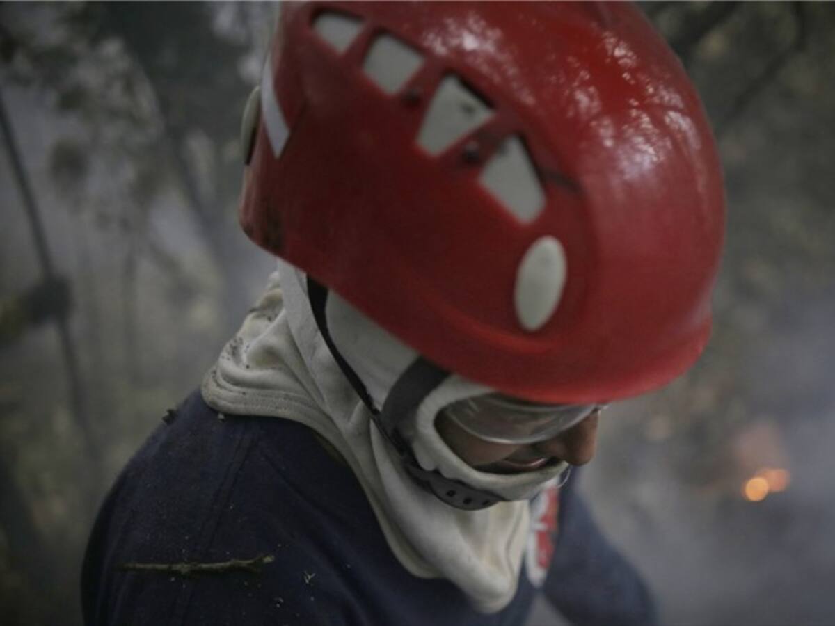Director de Corpocesar da último reporte tras incendio en la Sierra Nevada