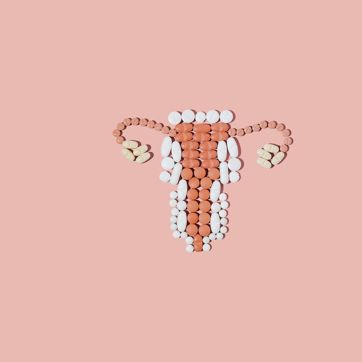 Hay que romper tabúes: Autora de ‘Pussypedia’, libro que busca deconstruir prejuicios sobre la pussy