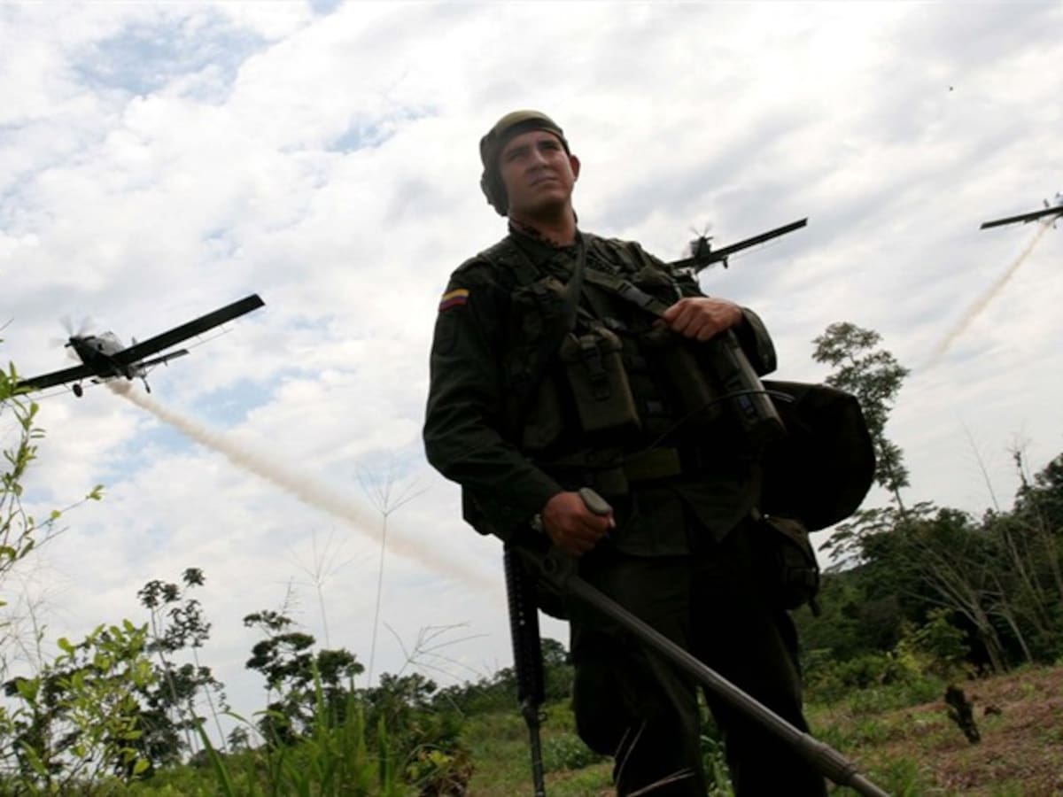 Juzgado de Pasto emite acción en contra de la aspersión aérea con glifosato