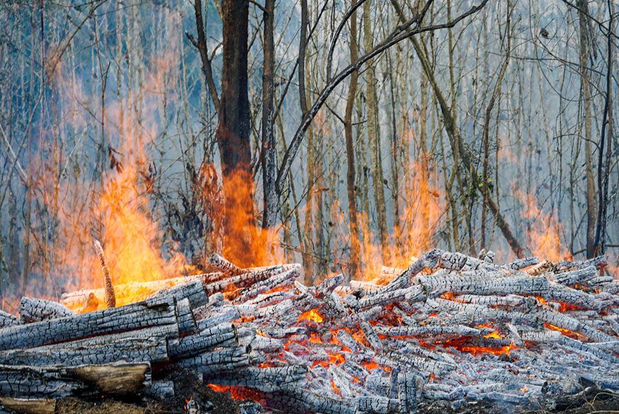 Incendio forestal. Foto: prensa Gobernación de Sucre (referencia)