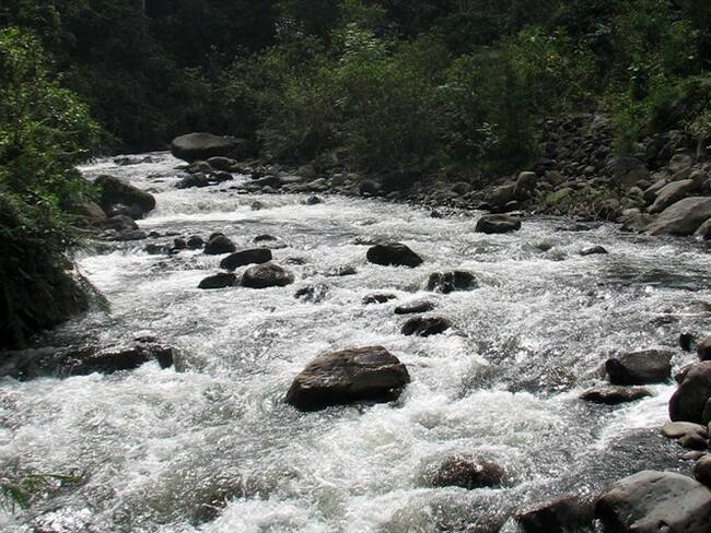 Concejal denuncia la presencia de heces en río Otún, Pereira