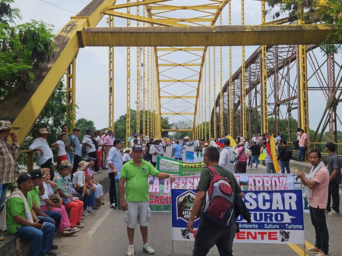 Colfecar advierte que el paro arrocero les ha generado una pérdida de $1.600 millones diarios