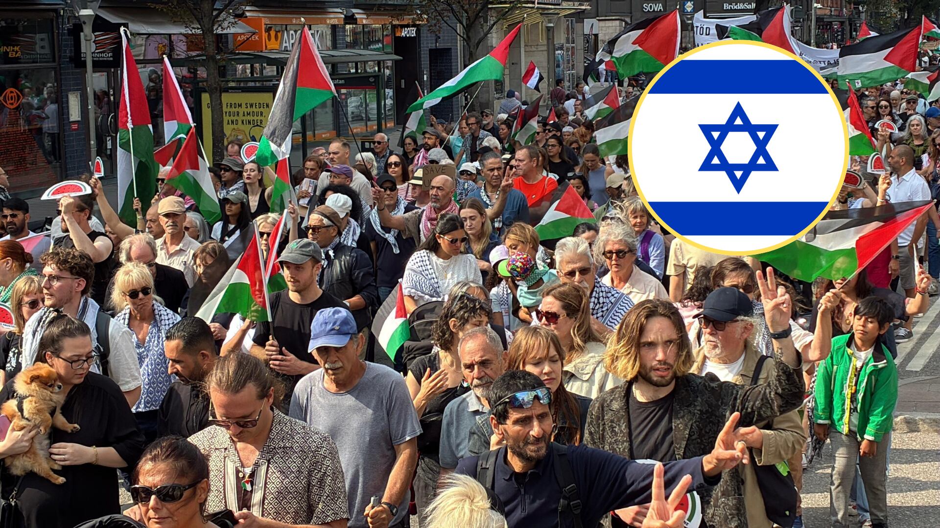 Marcha sueca por Palestina - Foto por Atila Altuntas/Anadolu via Getty Images