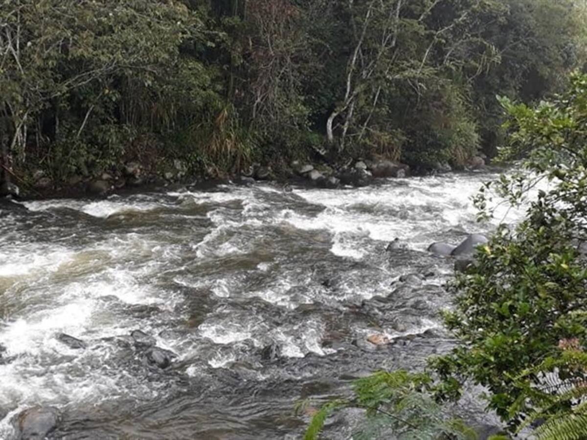 Fallo a favor del río Pance ordena su protección