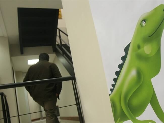 Imagen de referencia. Foto: Colprensa