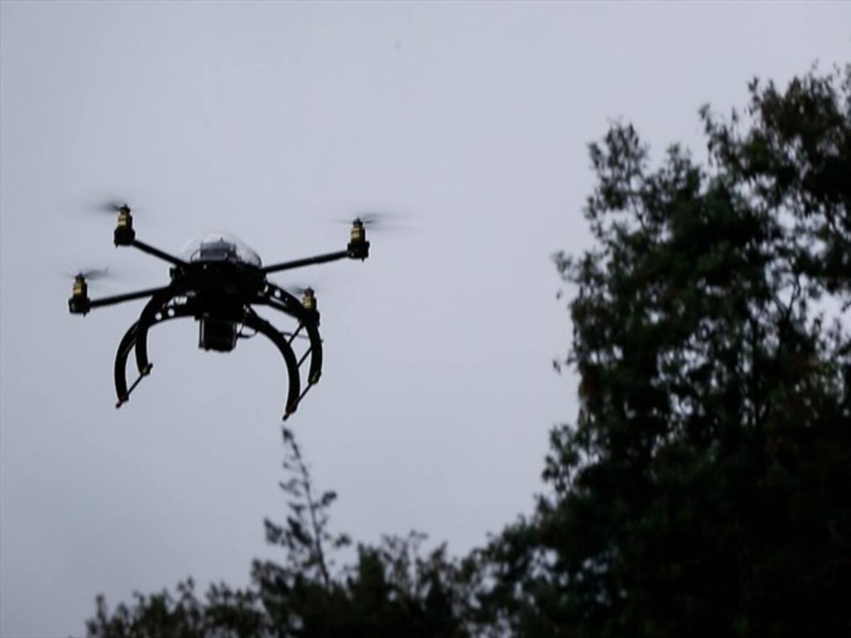 Comenzó fumigación de cultivos de coca con drones en Antioquia