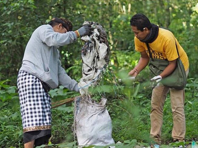Seis cosas que se pueden hacer durante la cuarentena para ayudar al medio ambiente. Foto: Agencia Anadolu