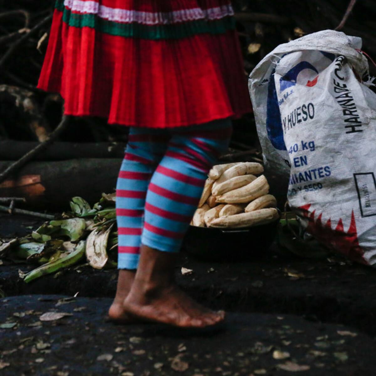 Alerta: cerca de 20 indígenas en Chocó se han quitado la vida este año por la violencia
