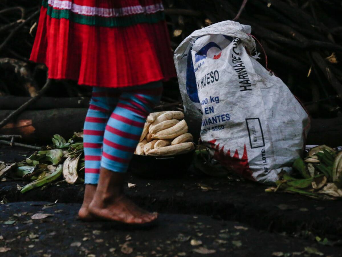 Alerta: cerca de 20 indígenas en Chocó se han quitado la vida este año por la violencia
