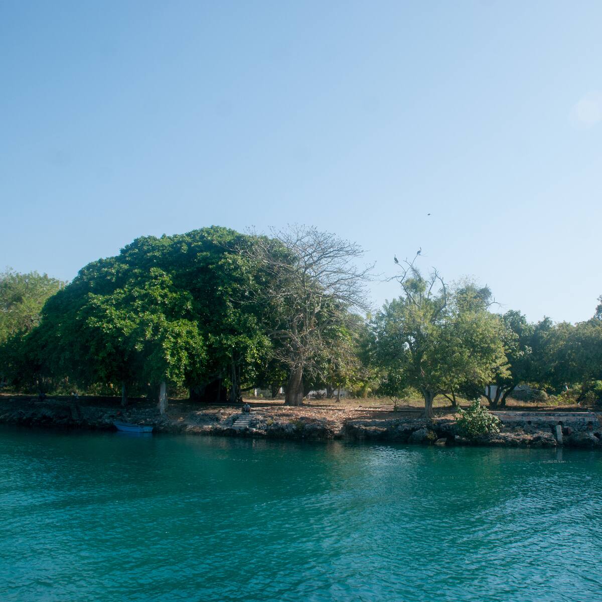 ¿Tierra de nadie? Denuncian que Islas del Rosario se entregan “a dedo”