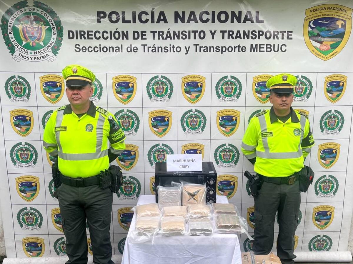 Encomienda venía cargada con marihuana