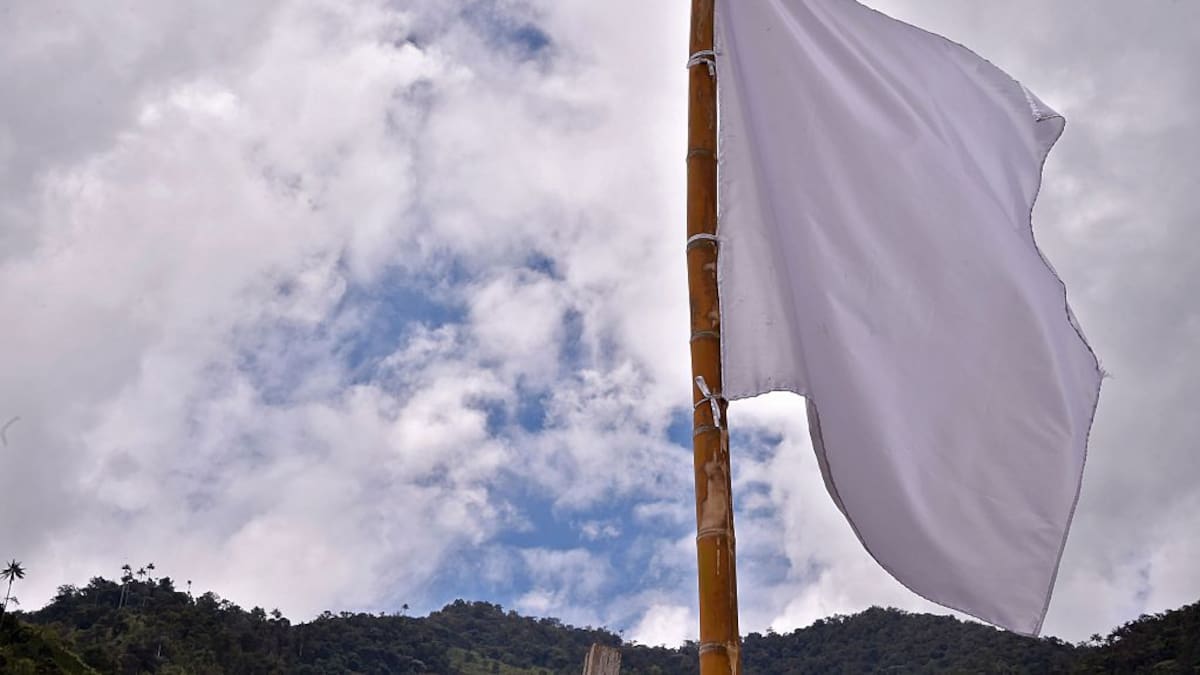 La paz total busca desactivar, conjuntamente, las formas de violencia: David Flórez