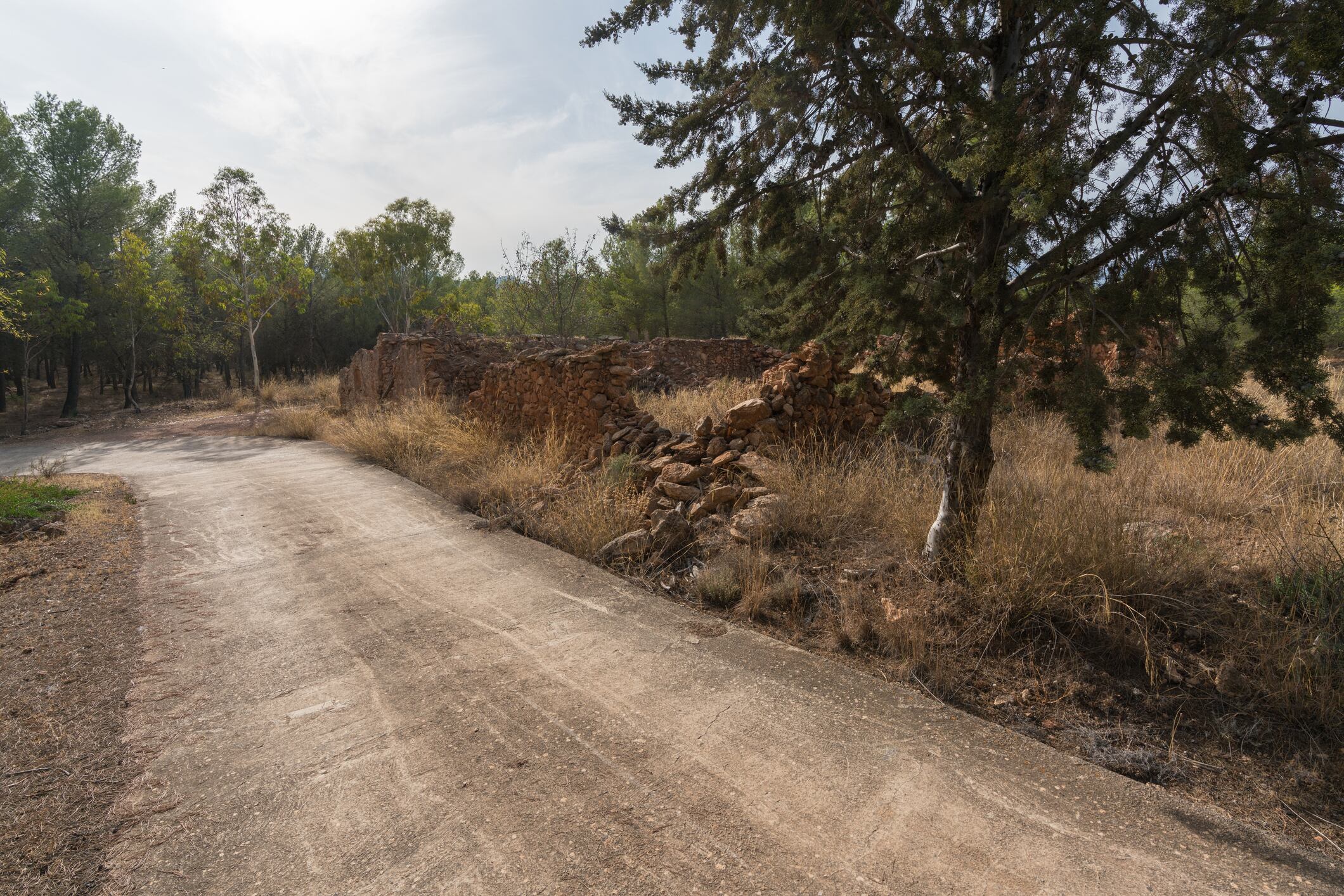 Imagen de referencia de trocha. Foto: Getty Images.