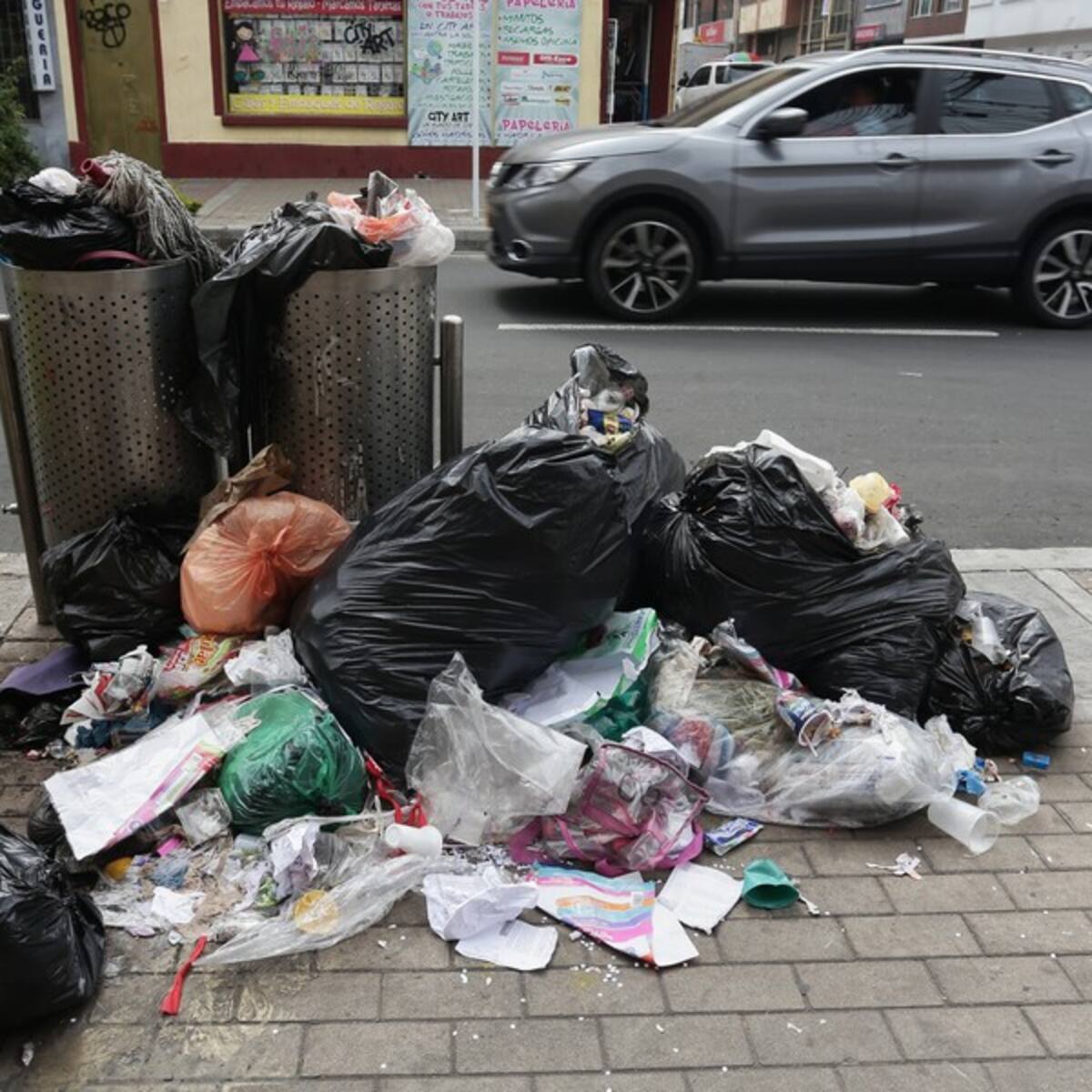 Ciudadanos denuncian plaga de ratas e insalubridad en el barrio el Chicó de Bogotá
