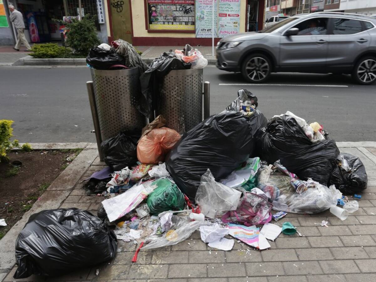 Ciudadanos denuncian plaga de ratas e insalubridad en el barrio el Chicó de Bogotá