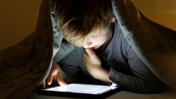 ¿Cuánto tiempo deberían estar los niños en el celular o computador?, experta responde
