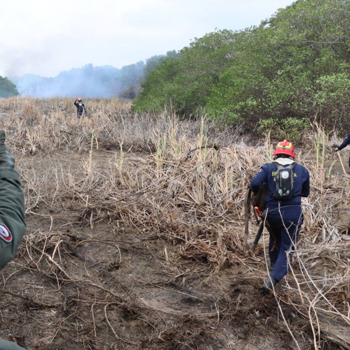 Bomberos apoyan control de incendio en Parque Isla Salamanca en el Caribe