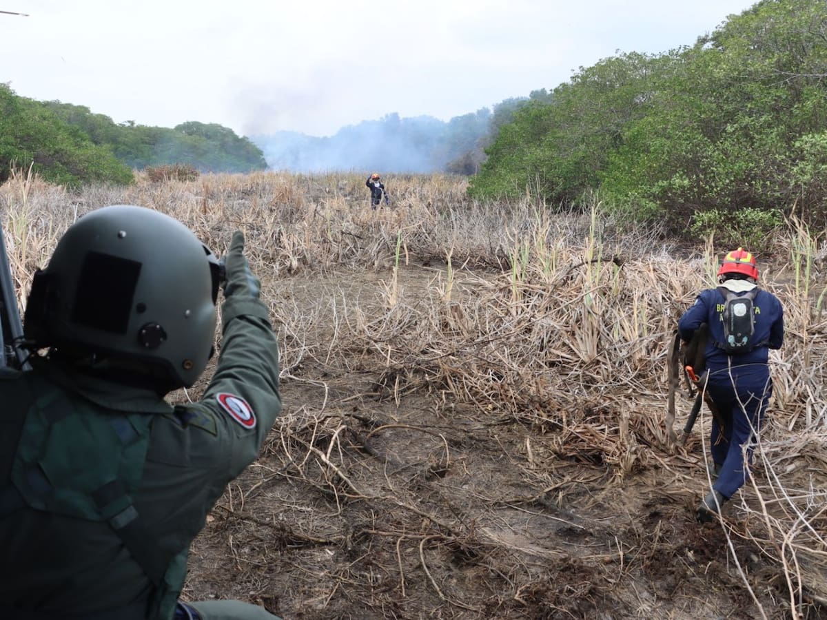 Bomberos apoyan control de incendio en Parque Isla Salamanca en el Caribe