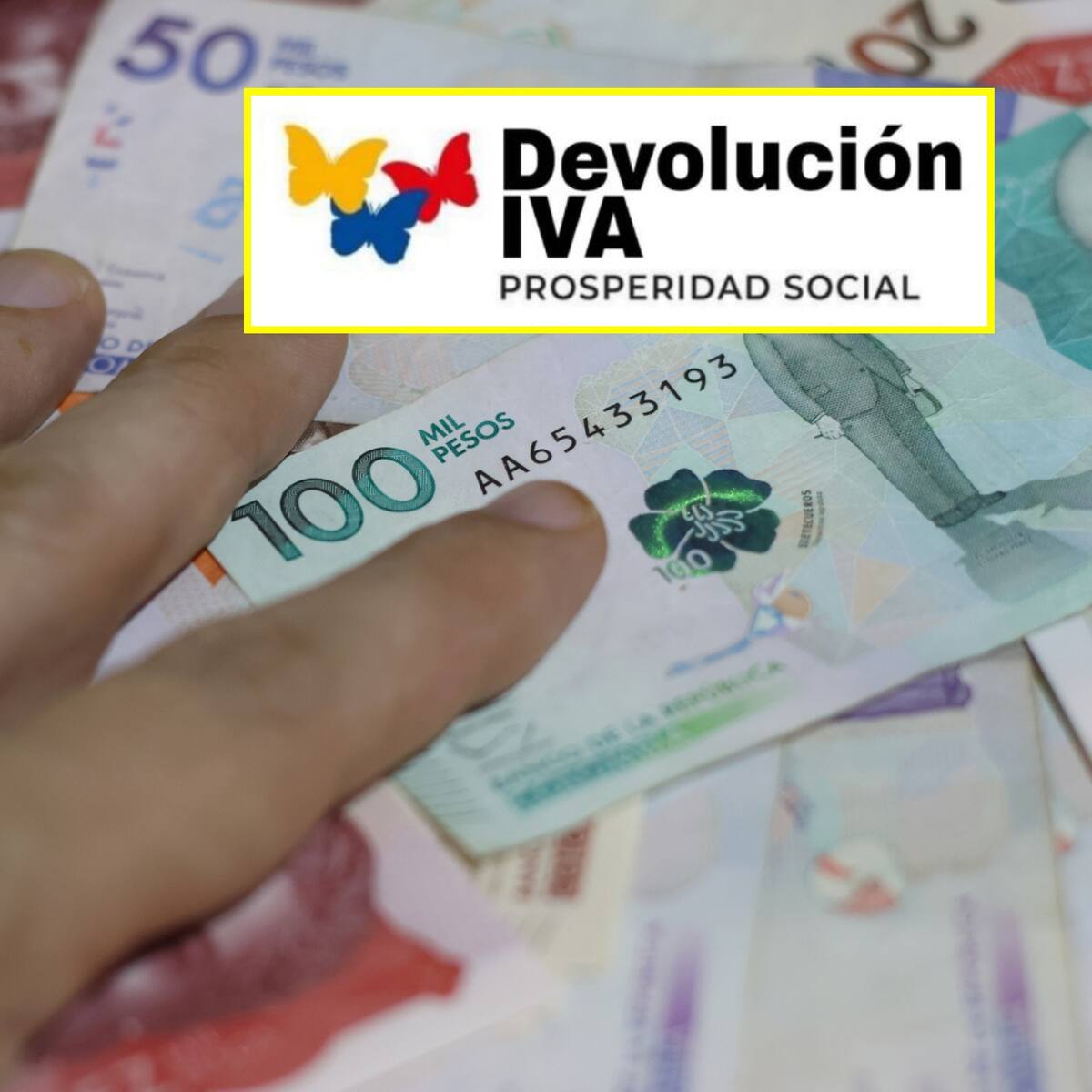 ¿Habrá pagos de Devolución de IVA en noviembre? Link para consultar con su cédula