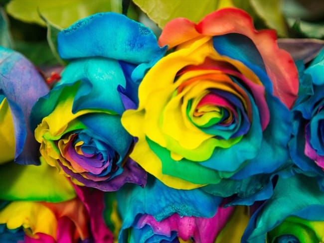 Regala emociones con las flores de Colombia en amor y amistad. Foto: