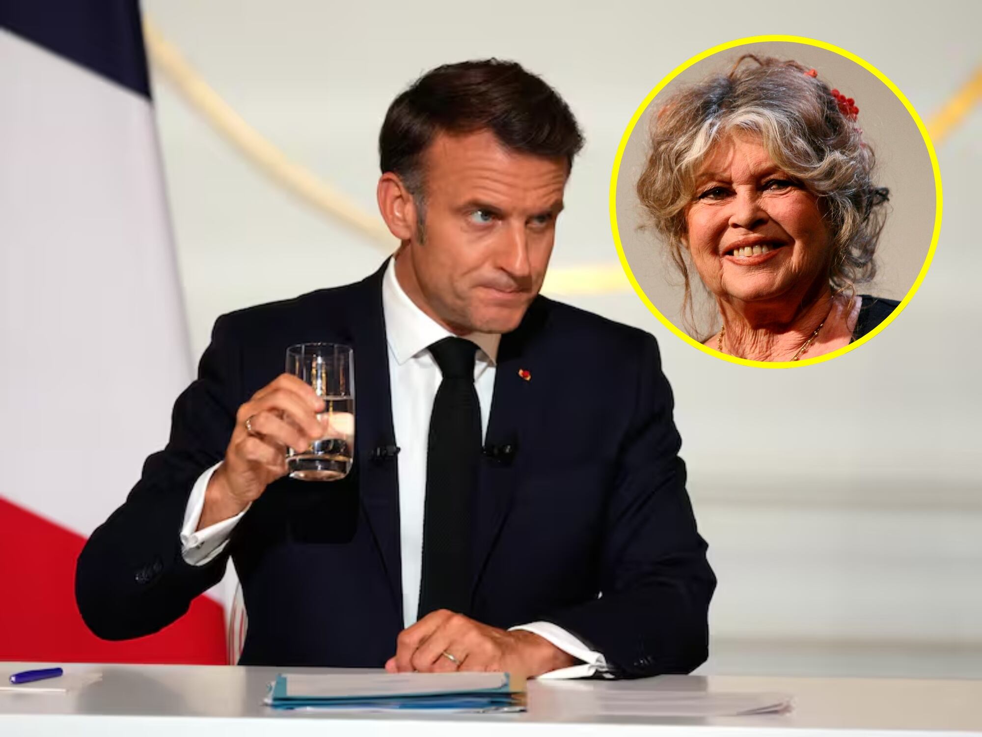 Emmanuel Macron y Brigitte Bardot