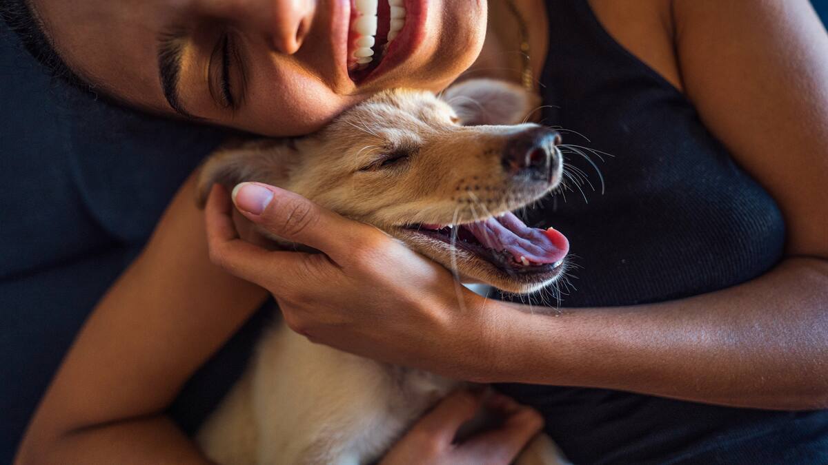 ¿Cómo reducir el estrés y la ansiedad? Interactuar con perros podría ser una solución