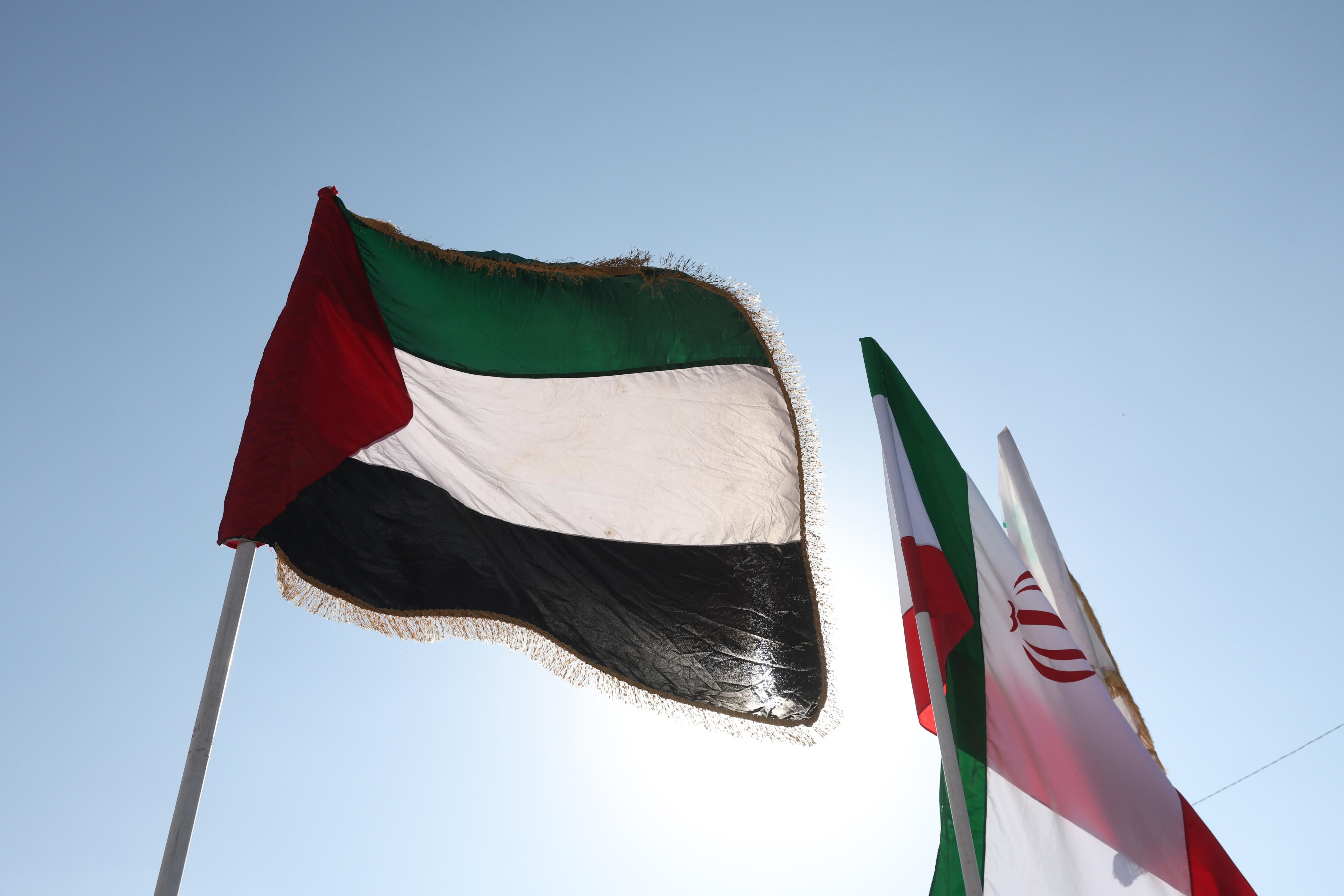 Banderas de Palestina e Iran. FOTO:  EFE/EPA/YAHYA ARHAB