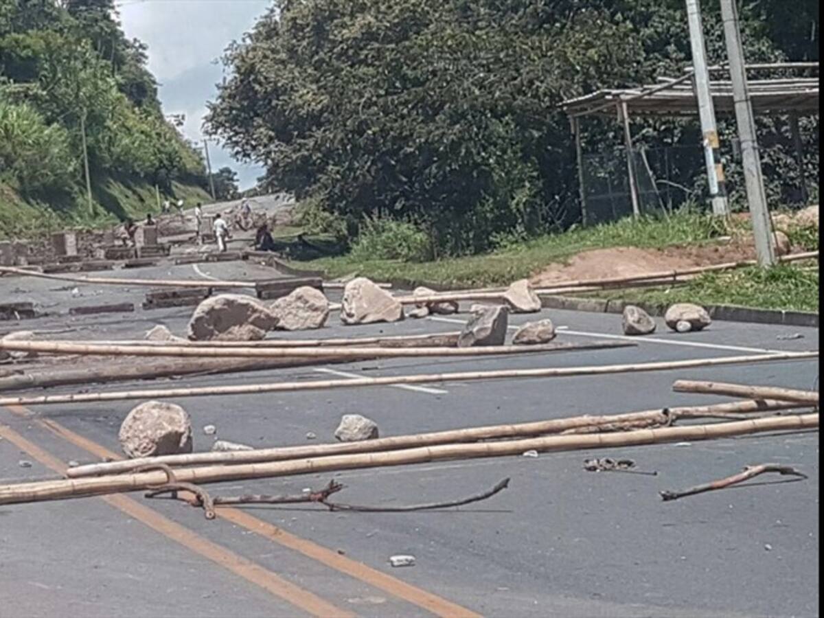 Gerente de comité ganadero del Cauca habla sobre las pérdidas por bloqueos indígenas