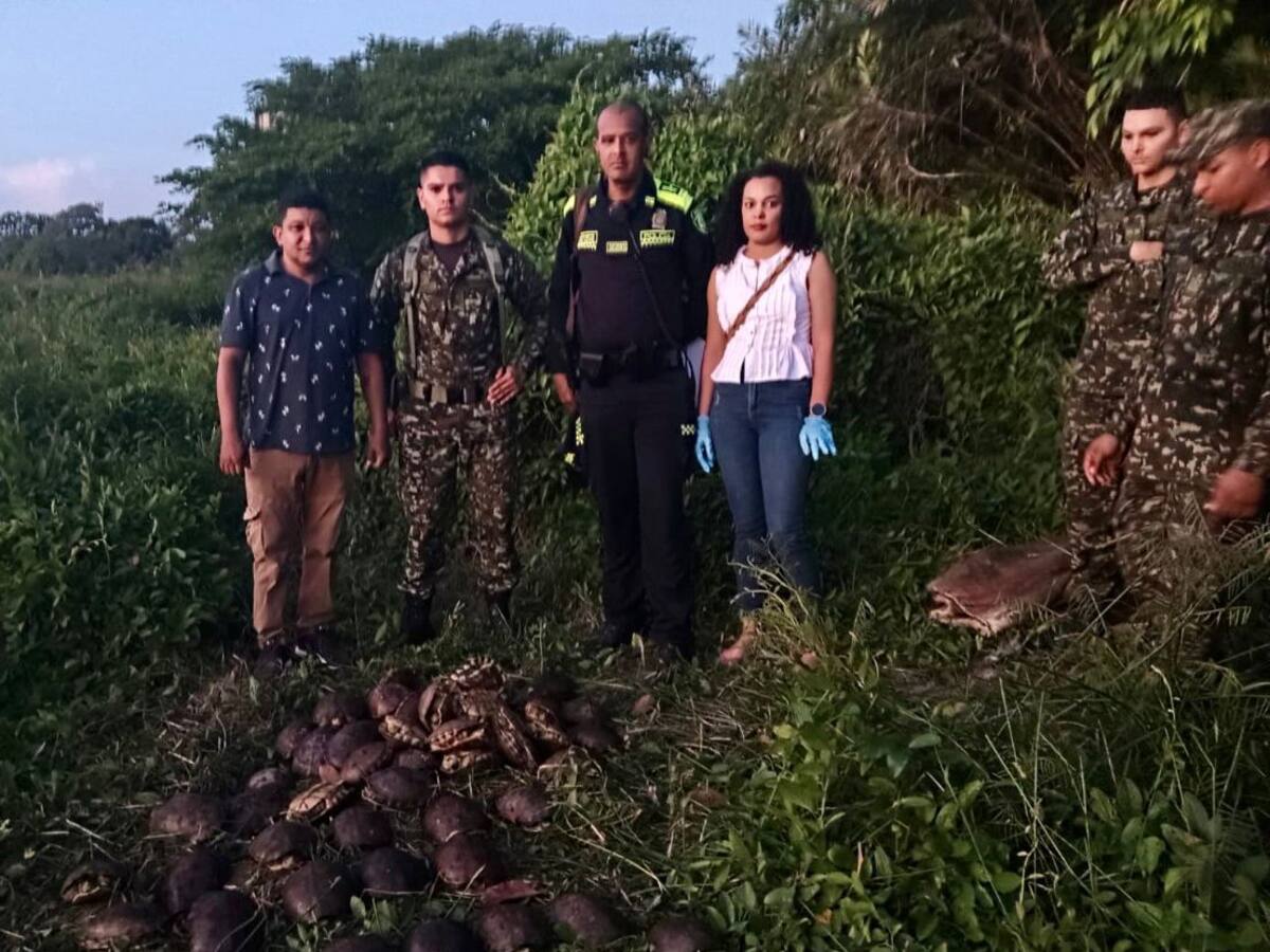 Autoridades ambientales decomisaron más de 300 animales silvestres en El Banco, Magdalena