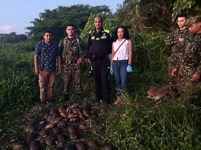 Autoridades ambientales decomisaron más de 300 animales silvestres en El Banco, Magdalena