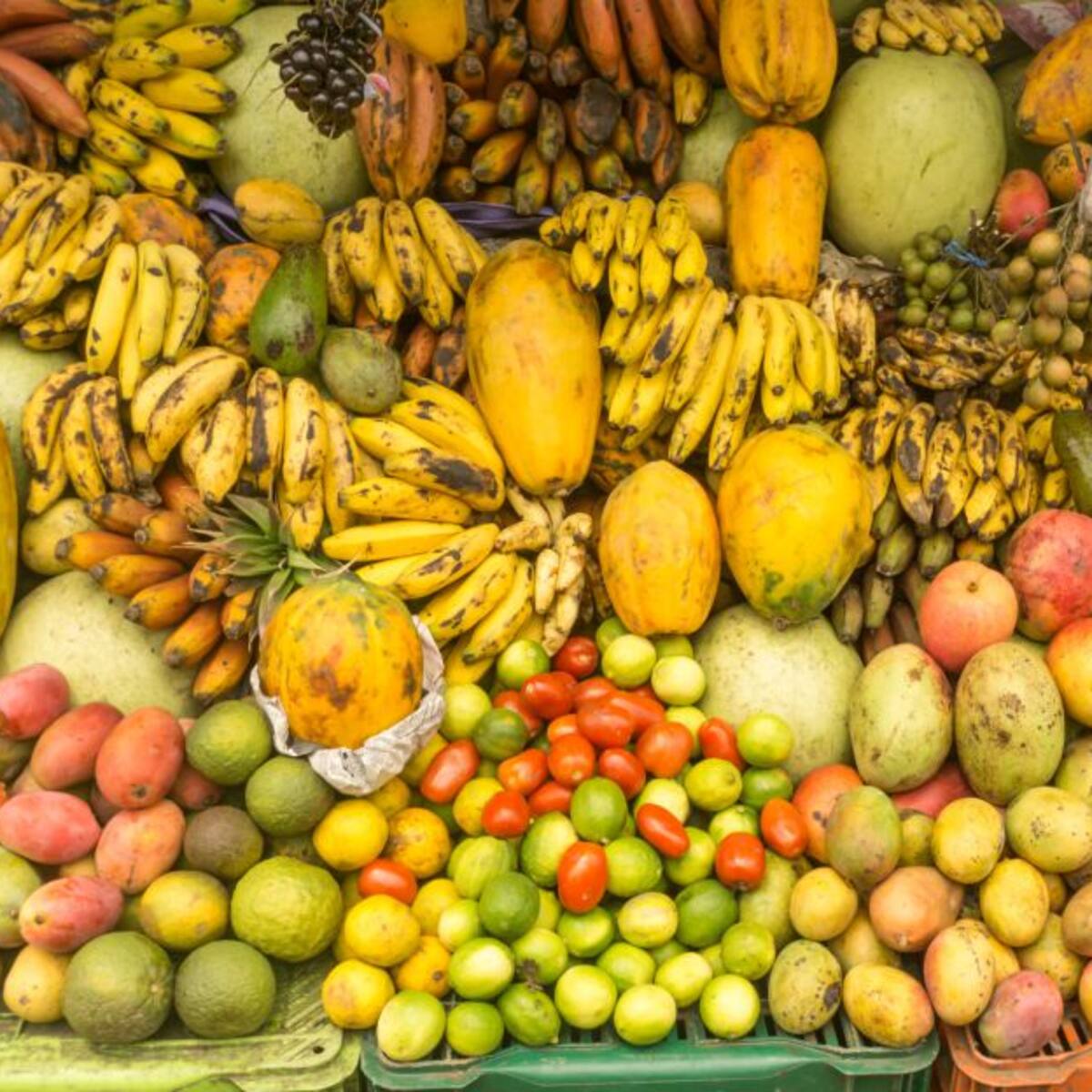 Reforma tributaria: la lista de alimentos que tendrían impuestos