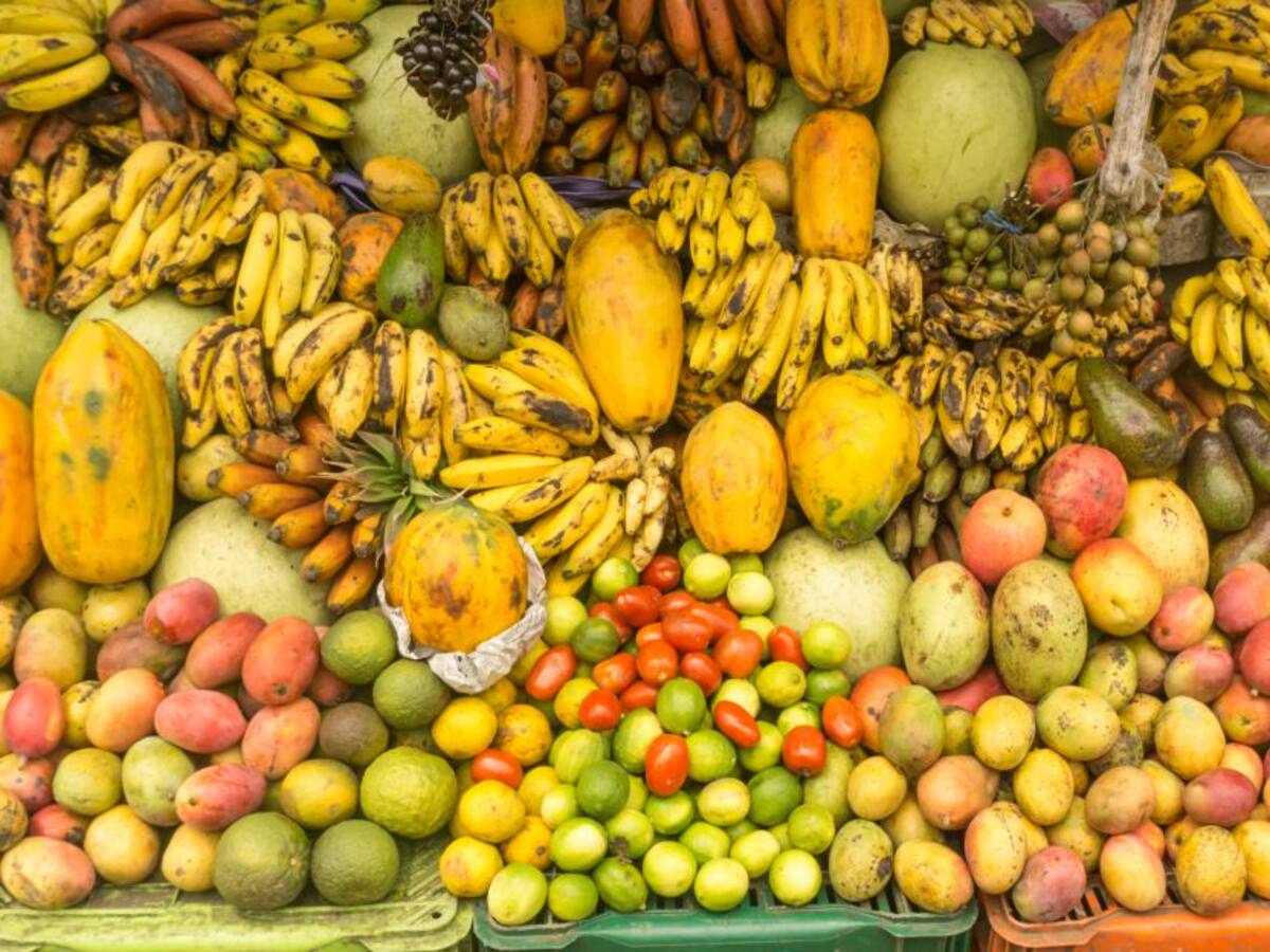 Reforma tributaria: la lista de alimentos que tendrían impuestos