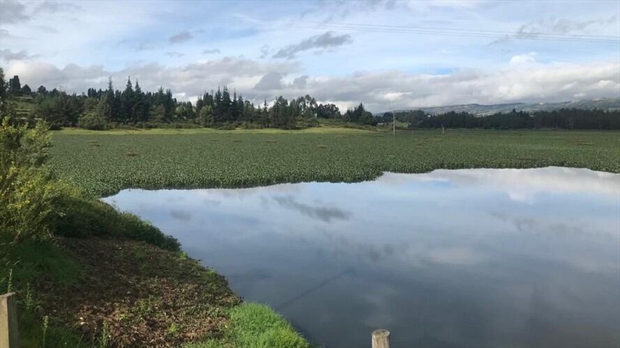 Las condiciones del sector no son aptas para la vida digna de ningún tipo de persona o animal.. Foto: W