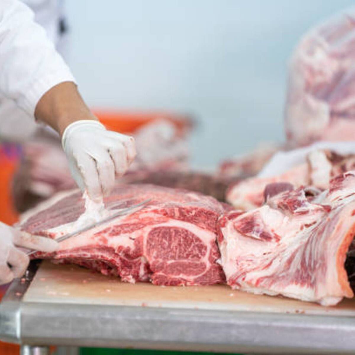 Con los mataderos municipales se regularía el precio de la carne: Senador Farelo