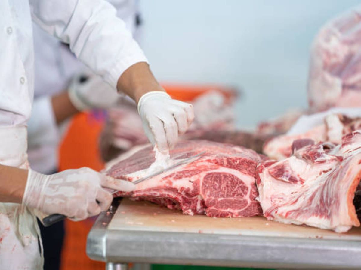 Con los mataderos municipales se regularía el precio de la carne: Senador Farelo