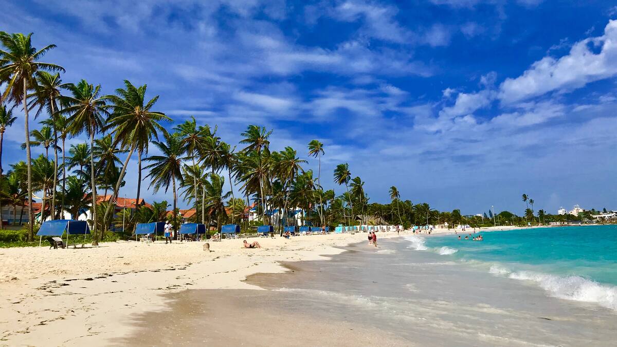 “Queremos ser el departamento con movilidad pública sostenible”: gobernador de San Andrés