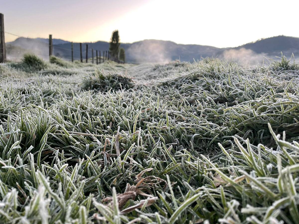 Heladas afectan cultivos y pastos en varios municipios de Boyacá