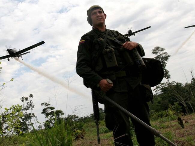 Debemos seguir usando el glifosato para la erradicación de cultivos ilícitos: Mindefensa