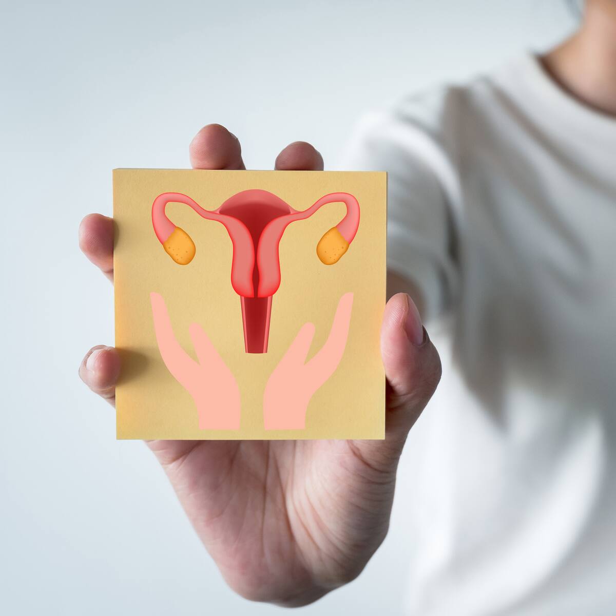 Psicoterapeuta lanzó curso de salud sexual femenina: estos son los detalles