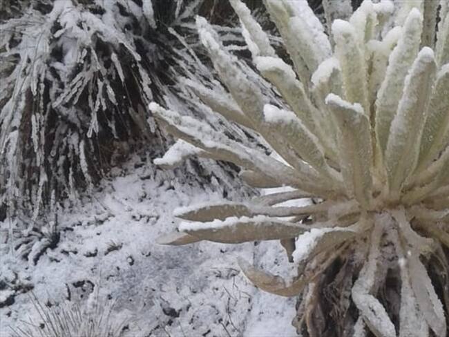 Así disfrutaron los turistas y caminantes la espectacular caída de nieve en el reconocido parque natural.. Foto: Jorge Herrera