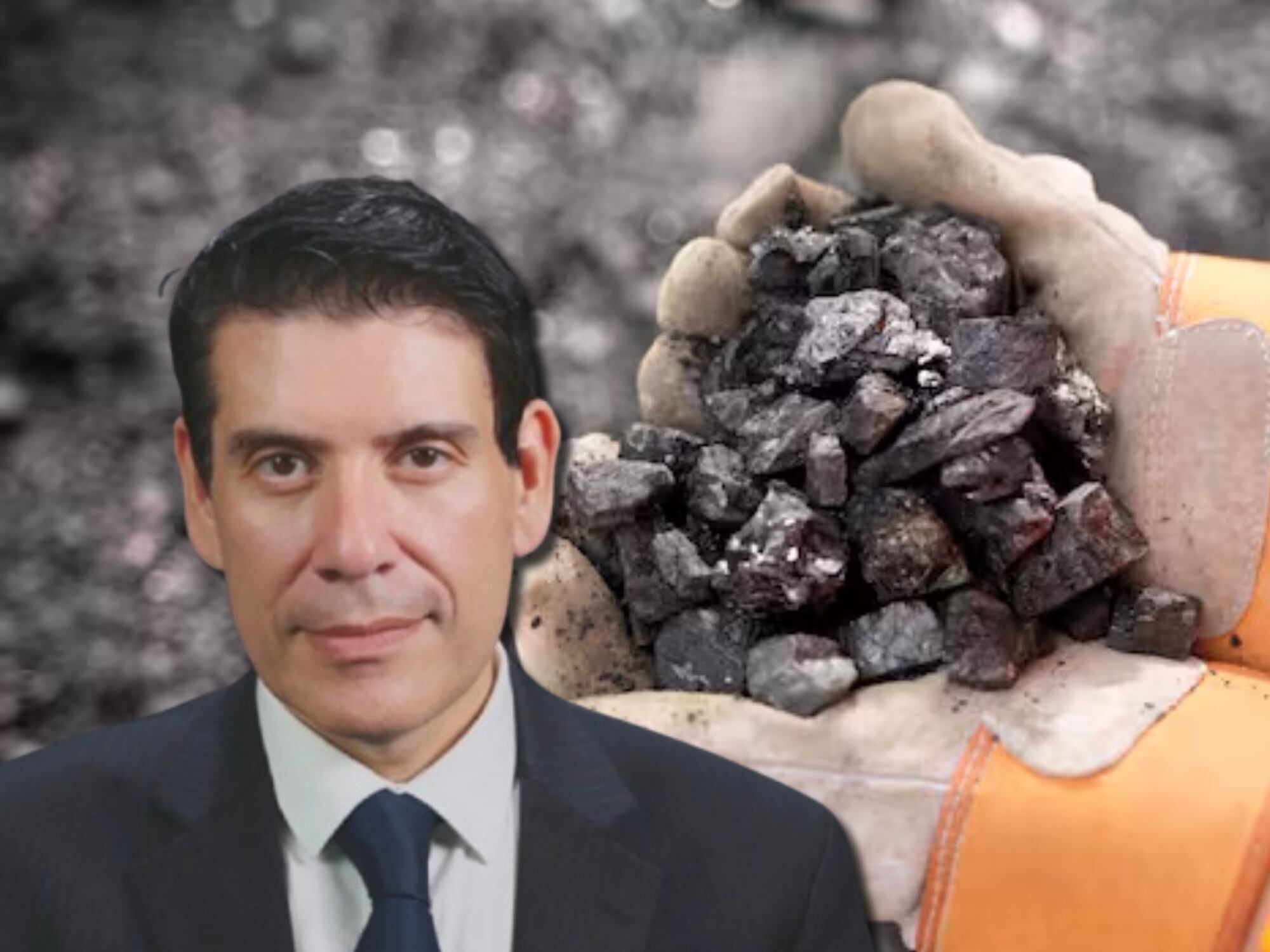 Cátedra Gaona | Constitucionalidad y razonabilidad de la ley minera propuesta por el Gobierno  