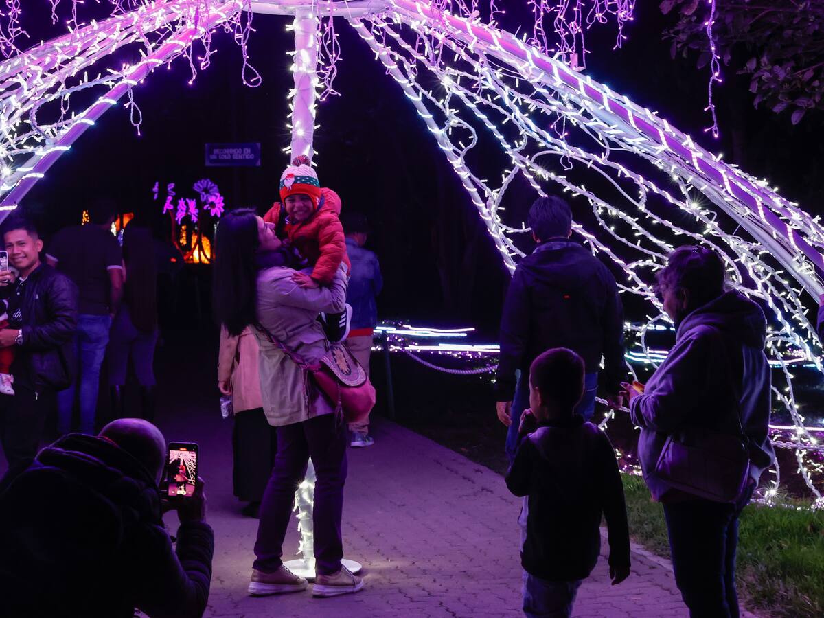 Programación alumbrado navideño del Jardín Botánico 2025: ¿Quiénes entran gratis?