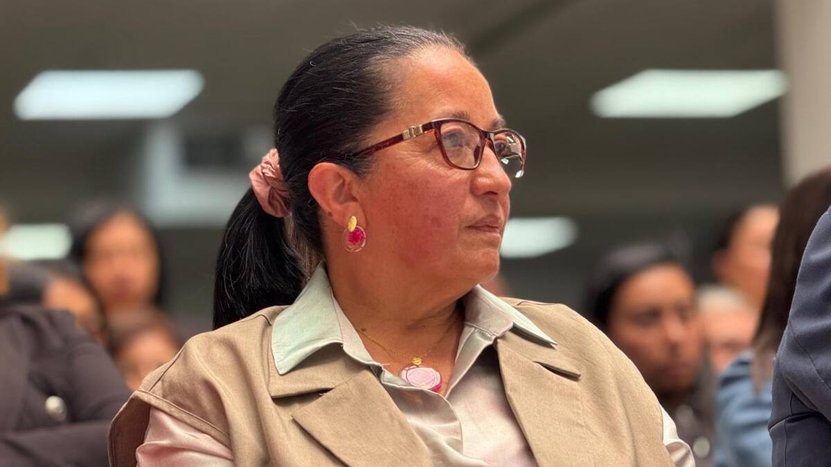 “Decisiones de nuestro despacho no tienen que ver con lo que pasa en Congreso”: magistrada del CNE