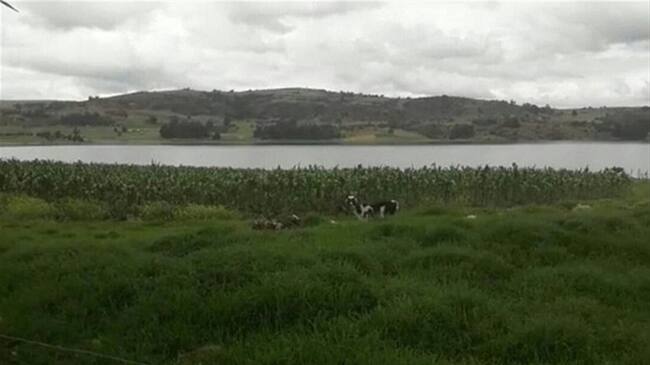 También verificó que la construcción de la Planta de Tratamiento de Aguas Residuales, por parte de la Uspec está en marcha.. Foto: W