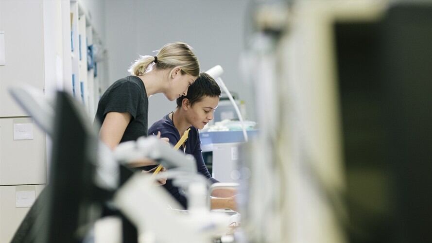 El presidente Iván Duque sancionó la ley para que las prácticas, pasantías y monitorías universitarias sean válidas como experiencia profesional. Foto: Getty Images
