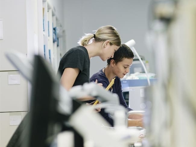 El presidente Iván Duque sancionó la ley para que las prácticas, pasantías y monitorías universitarias sean válidas como experiencia profesional. Foto: Getty Images