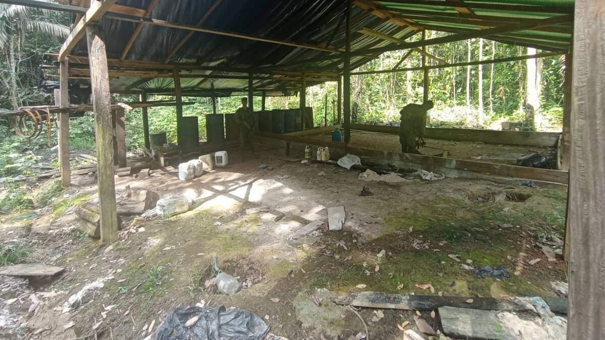 Armada destruyó 15 laboratorios del ‘Clan del Golfo’ en Chocó y Cordóba