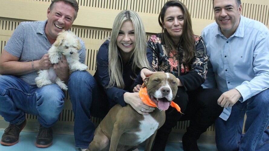 Mi caballo y pensé que estaba loca, pero no los animales sí hablan: Lina Lamos. Foto: W Radio