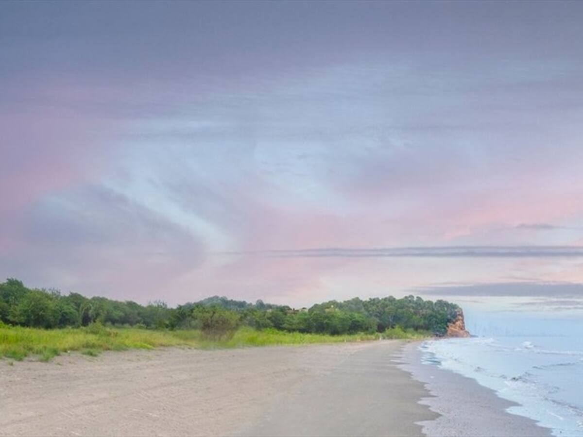 Un oasis viviente inspirado en los colores y formas del mar